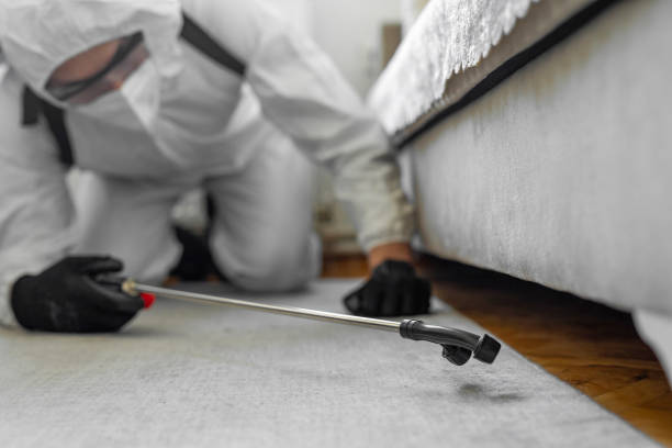 Professional Bed Bug Control technician working in Norwalk, CT