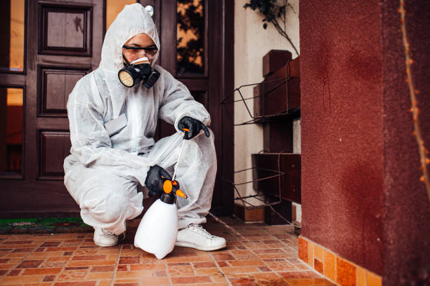 Reliable Bed Bug Control contractor in Norwalk, CT by Nex Pest Control